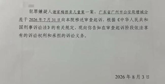 “梅姨”真名曝光 对话受害者家属 案件进入审查起诉阶段