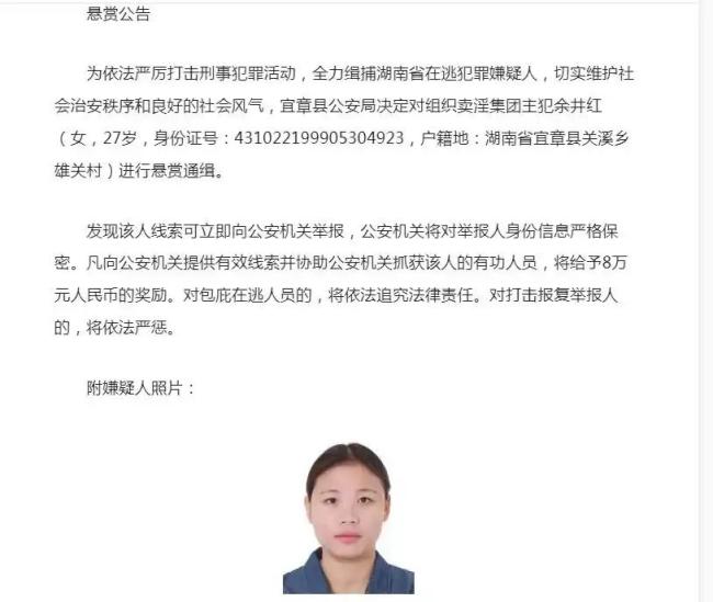 27岁女子组织卖淫集团被悬赏通缉 打破固有印象
