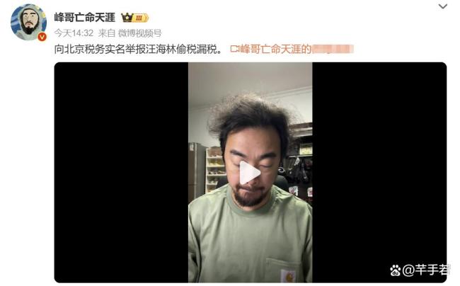峰哥实名举报汪海林偷税漏税