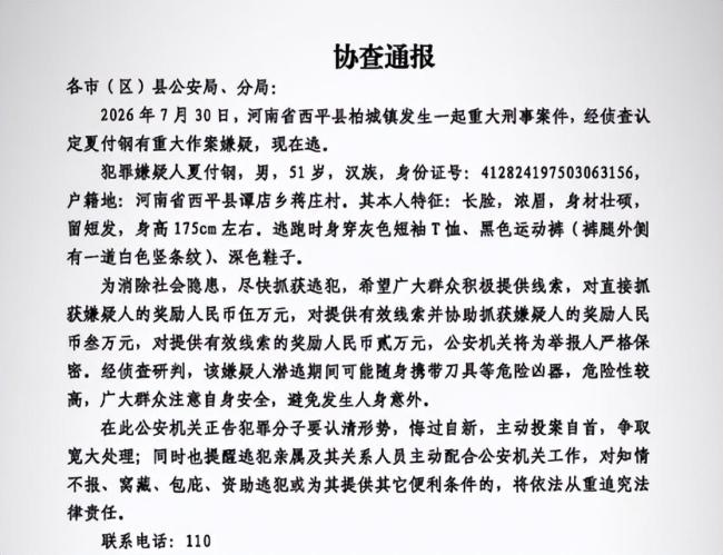 河南重大刑事案嫌疑人落网