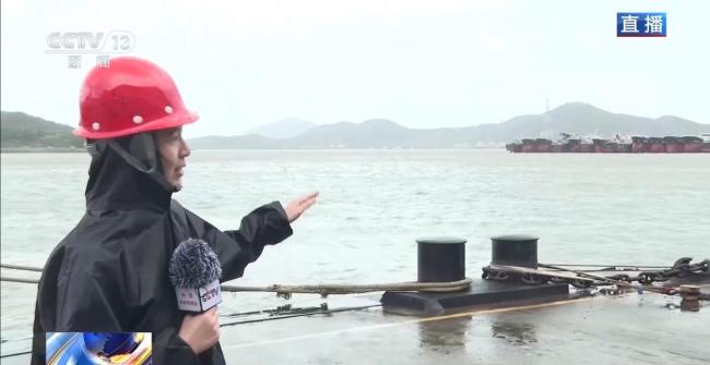 白海豚逼近浙闽沿海 舟山客运全线停航
