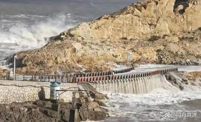白海豚登陆当地现场画面曝光 游客遇险救援艰难