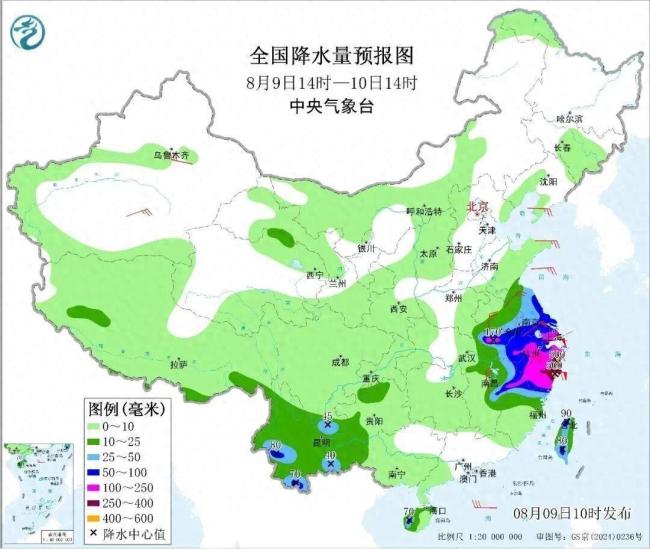 白海豚