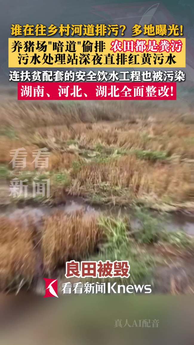 多地违规排污乱象曝光 属地连夜彻查