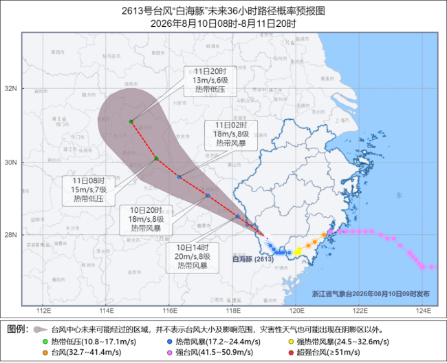 白海豚罕见路线拐弯 直冲武汉引发关注