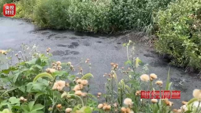 多地乡村排污乱象触目惊心 恶臭刺鼻农田荒