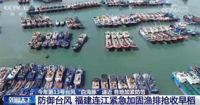 多举措应对台风“白海豚”影响 多地提升应急响应等级