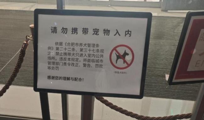 多家商场陆续取消宠物友好 管理难题凸显