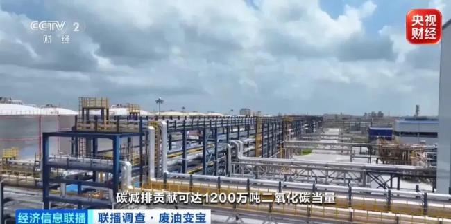 废油变身“抢手货” 出口订单排至2027年