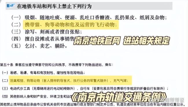 南京地铁几十条黄鳝出逃爬满车厢 乘客帮忙抓引发讨论