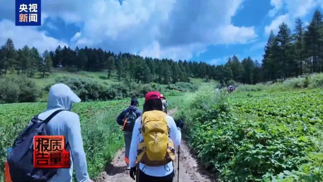 近150人徒步团爬管控山夜游 安全风险引担忧