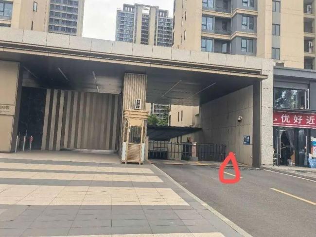 律师谈2岁半女童被流浪狗咬伤