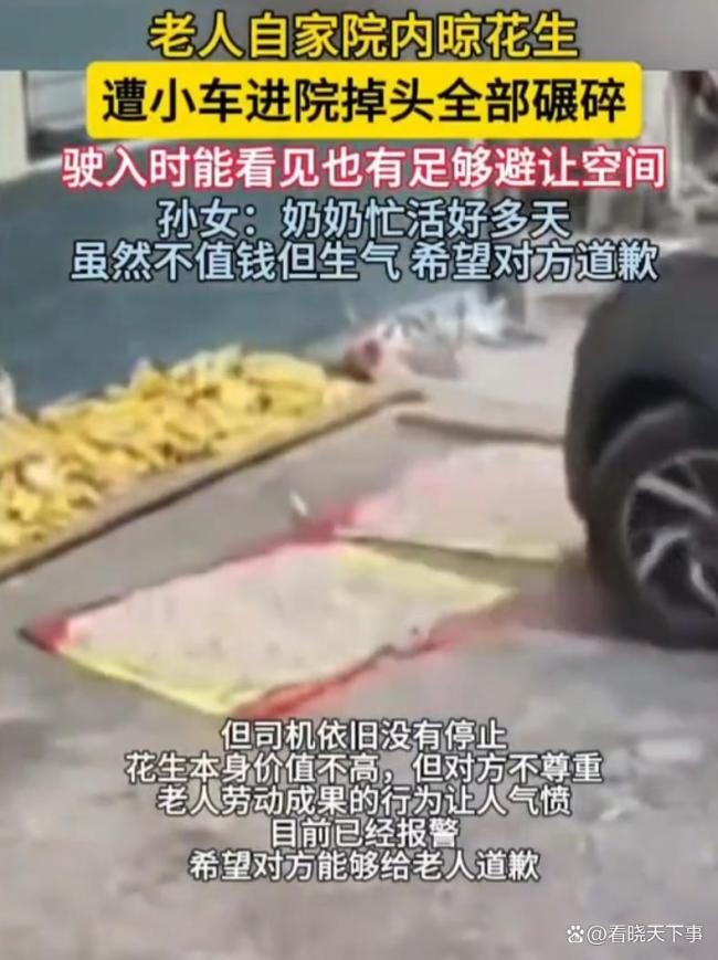 老人院内晾花生遭小车进院全部碾碎 司机应道歉
