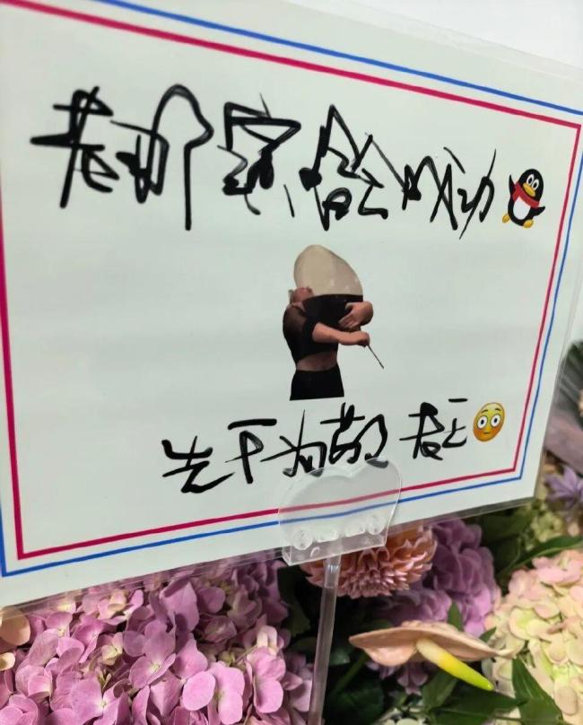 那英演唱会王菲贴抽象表情包