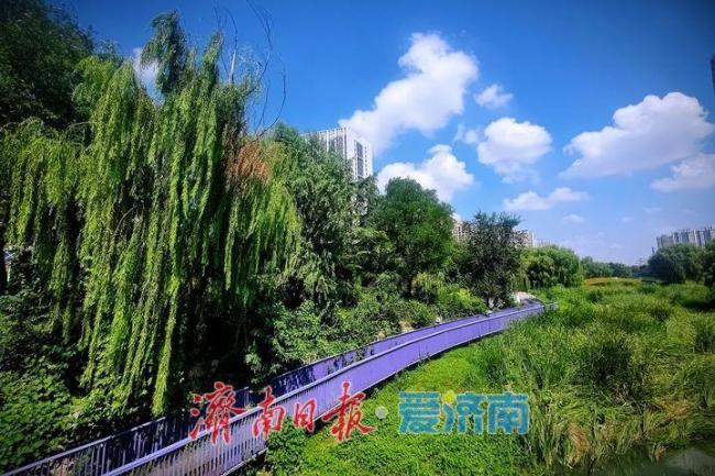 济南：处暑时节秋光铺展澄澈蓝天 诗意风光映眼帘