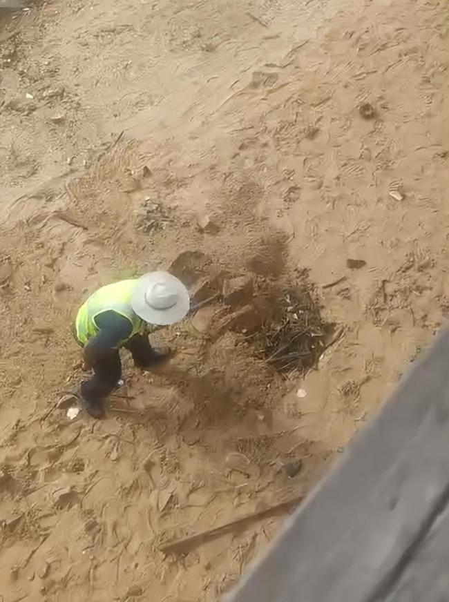 环卫工海滩挖坑埋垃圾？当地回应 非掩埋实为暂存