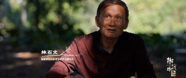 这棵榕树见证现实版给阿嫲的情书
