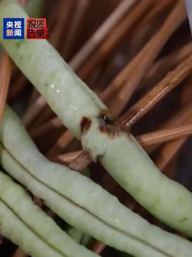 月销两万单烧烤店后厨卫生不达标 食材腐烂飞蛾乱窜