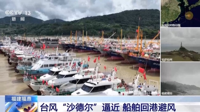 台风“沙德尔”逼近 福建福鼎船舶回港避风