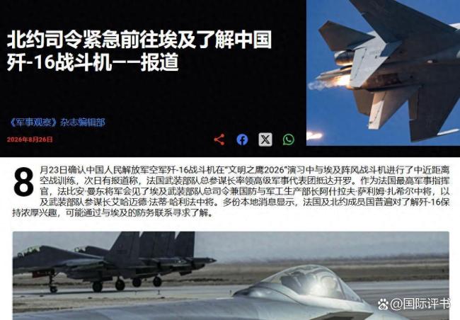 法军总参谋长此时造访埃及有何意图 争夺订单焦虑显现
