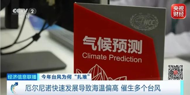 8月已生成10个台风！今年台风为何如此活跃？