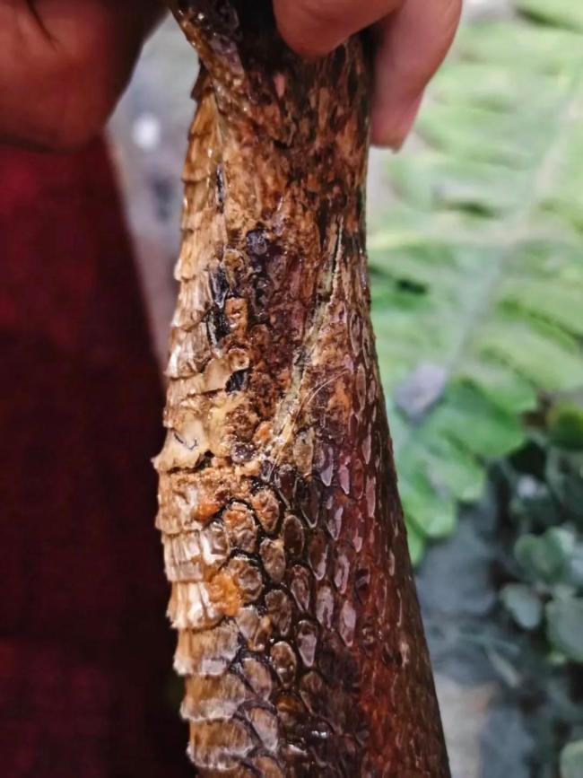 家长带孩子摸坏标本听说防腐立马洗手 博物馆强烈谴责不文明行为
