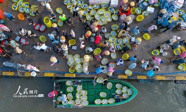 海南琼海：码头渔市人气旺
