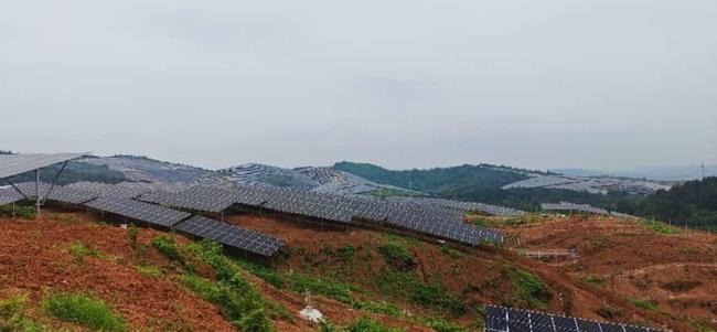 一新能源公司违法占用林地164.79亩 监管不力问题持续