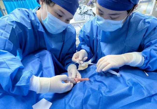 女子怀孕5个多月产下巴掌大宝宝 330克超早产儿奇迹存活