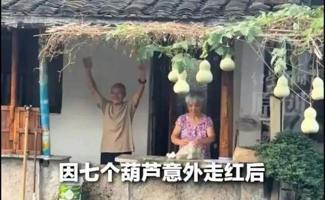 “葫芦娃爷爷”：明年大概率不会种了 游客热情带来困扰