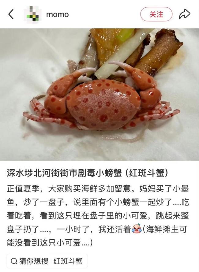 剧毒红斑斗蟹少量即可致命