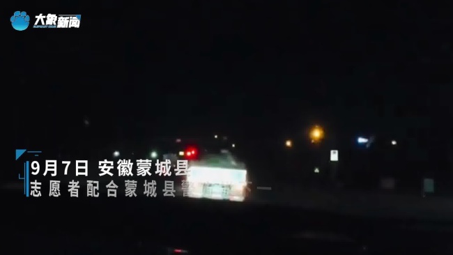 志愿者配合警方解救180多只狗 拦截运狗车行动成功