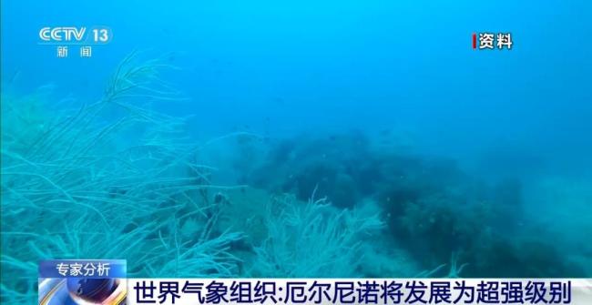 英政府要求民众提前存粮存水 应对极端天气风险