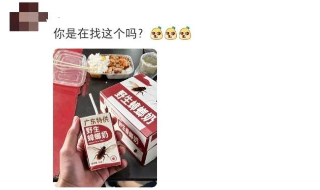 让广东人闻风丧胆的蟑螂奶来了 营养惊人引发热议