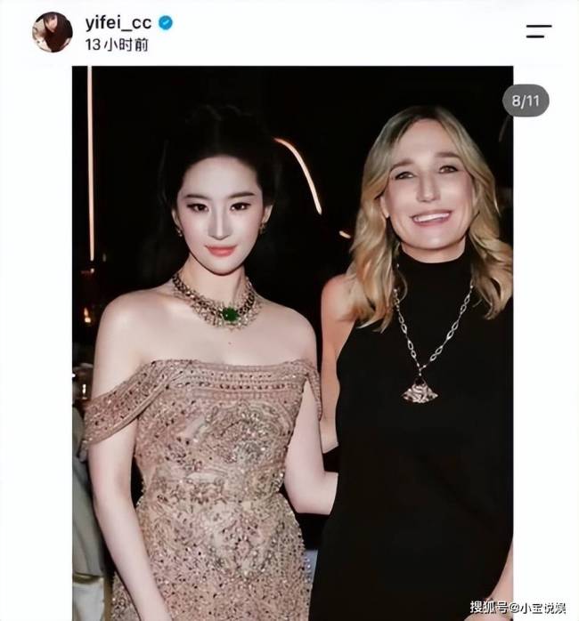 刘亦菲遭越南网友“围攻”？裁图风波引发争议