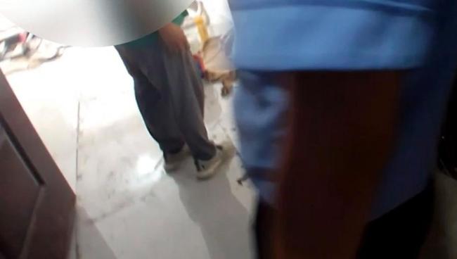 小狗叼鞋放摄像头前助破盗窃案 萌宠神助攻