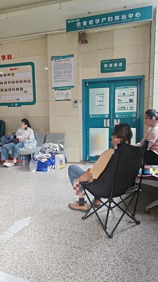 夫妻散步被马蜂蜇200多处 双双进ICU 家属讲述惊魂时刻