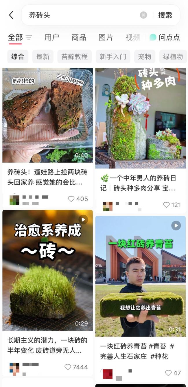 “养砖头”为什么戳中年轻人 低成本治愈新潮流