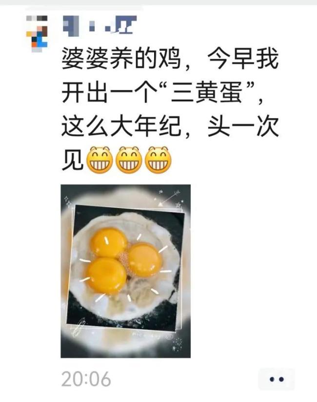女子做饭发现三黄蛋：像中了彩票，罕见一幕引热议