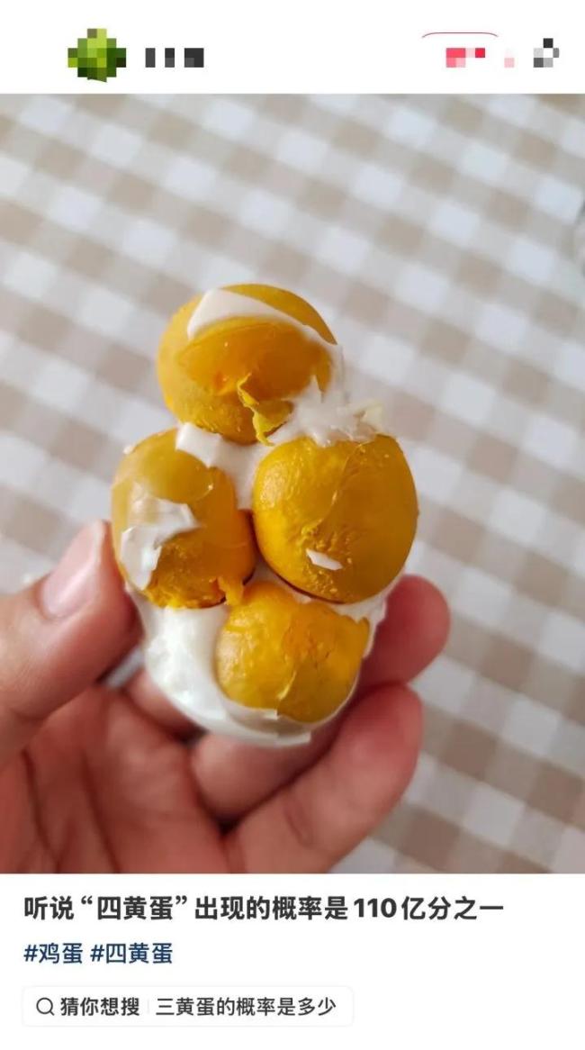 女子做饭发现三黄蛋：像中了彩票，罕见一幕引热议
