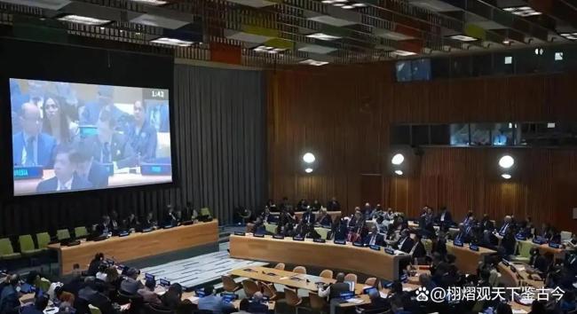 中俄安理会投下反对票 法律立场坚定