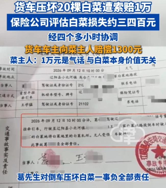 司机称压坏白菜被索赔1万元 天价赔偿引争议