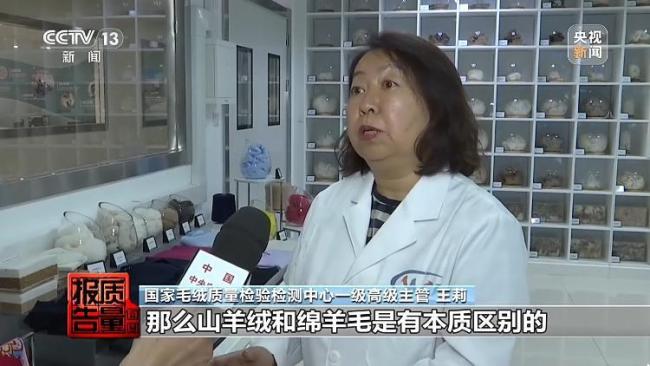 “绵羊绒”竟一根羊绒都没有 市场乱象揭秘