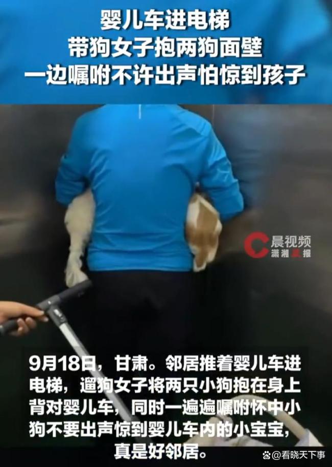 带狗女子电梯内抱两狗面壁 文明养宠典范