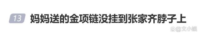 妈妈说送金项链却没给张家齐看过