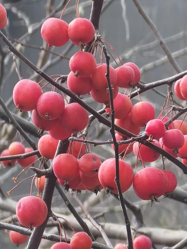 高中生作业做不完怎么做家务 从小培养好习惯
