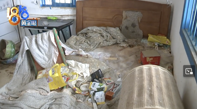 出租房收回租客留下满屋垃圾3只猫