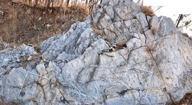 安徽发现2.4亿年前"巨鲎"足迹 刷新古生物体型认知