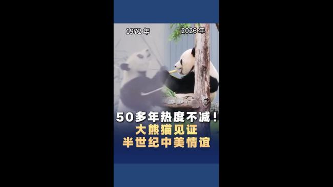 在华盛顿遇见中美人民友谊使者 大熊猫情缘续写新篇章