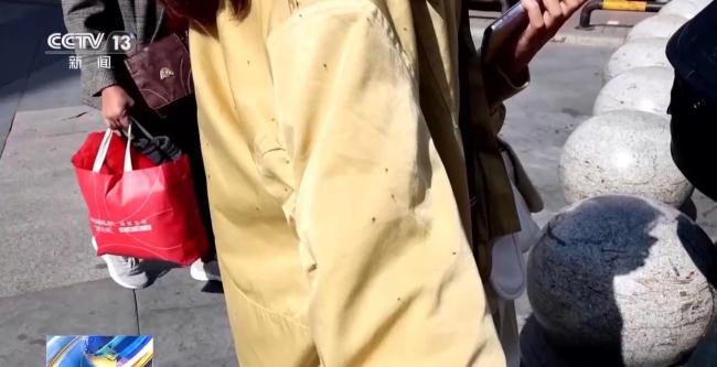 东北秋天的“小咬”到底是啥 专家揭秘识真容